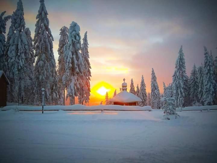 Baza Vidpochynku Ilz Villa Slavske Exterior photo